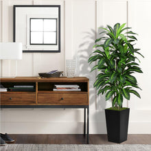 ASTIDY Artificial Dracaena Tree 5ft Black Tall Floor Planter Indoor Decor