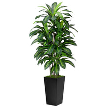 ASTIDY Artificial Dracaena Tree 5ft Black Tall Floor Planter Indoor Decor