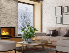 AlphaAcc Fiddle Leaf Fig Plant In Rustic Black Clay Planter 12.8 Inch Tall