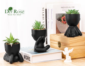 Der Rose 3pcs Black Pot Artificial Succulent Plants