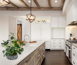 AlphaAcc Fiddle Leaf Fig Plant In Rustic Black Clay Planter 12.8 Inch Tall