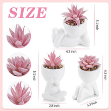 Der Rose 3 Pcs Pink Artificial Succulent Plants Desk Decor