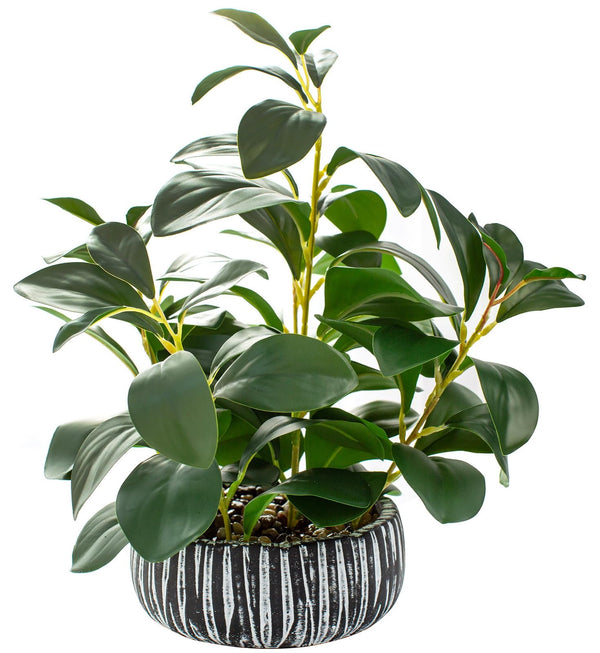 AlphaAcc Fiddle Leaf Fig Plant In Rustic Black Clay Planter 12.8 Inch Tall