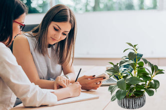 AlphaAcc Fiddle Leaf Fig Plant In Rustic Black Clay Planter 12.8 Inch Tall