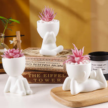 Der Rose 3 Pcs Pink Artificial Succulent Plants Desk Decor