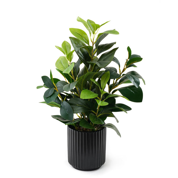 EZBOHO 16Inch Artificial Plant Ceramic Black Pot Evergreen