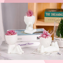 Der Rose 3 Pcs Pink Artificial Succulent Plants Desk Decor