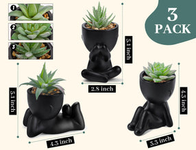 Der Rose 3pcs Black Pot Artificial Succulent Plants