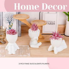 Der Rose 3 Pcs Pink Artificial Succulent Plants Desk Decor