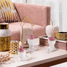 Der Rose 3 Pcs Pink Artificial Succulent Plants Desk Decor